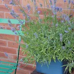 B+B York York