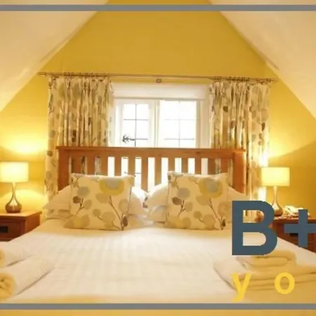 B+B York York