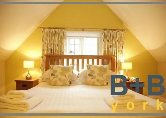 B+B York York